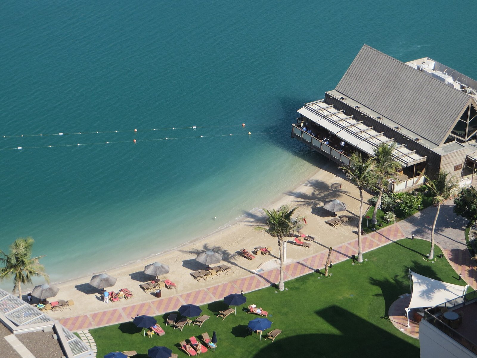 Beachfront resort hotel in Abu Dhabi with palm trees and a sandy beach