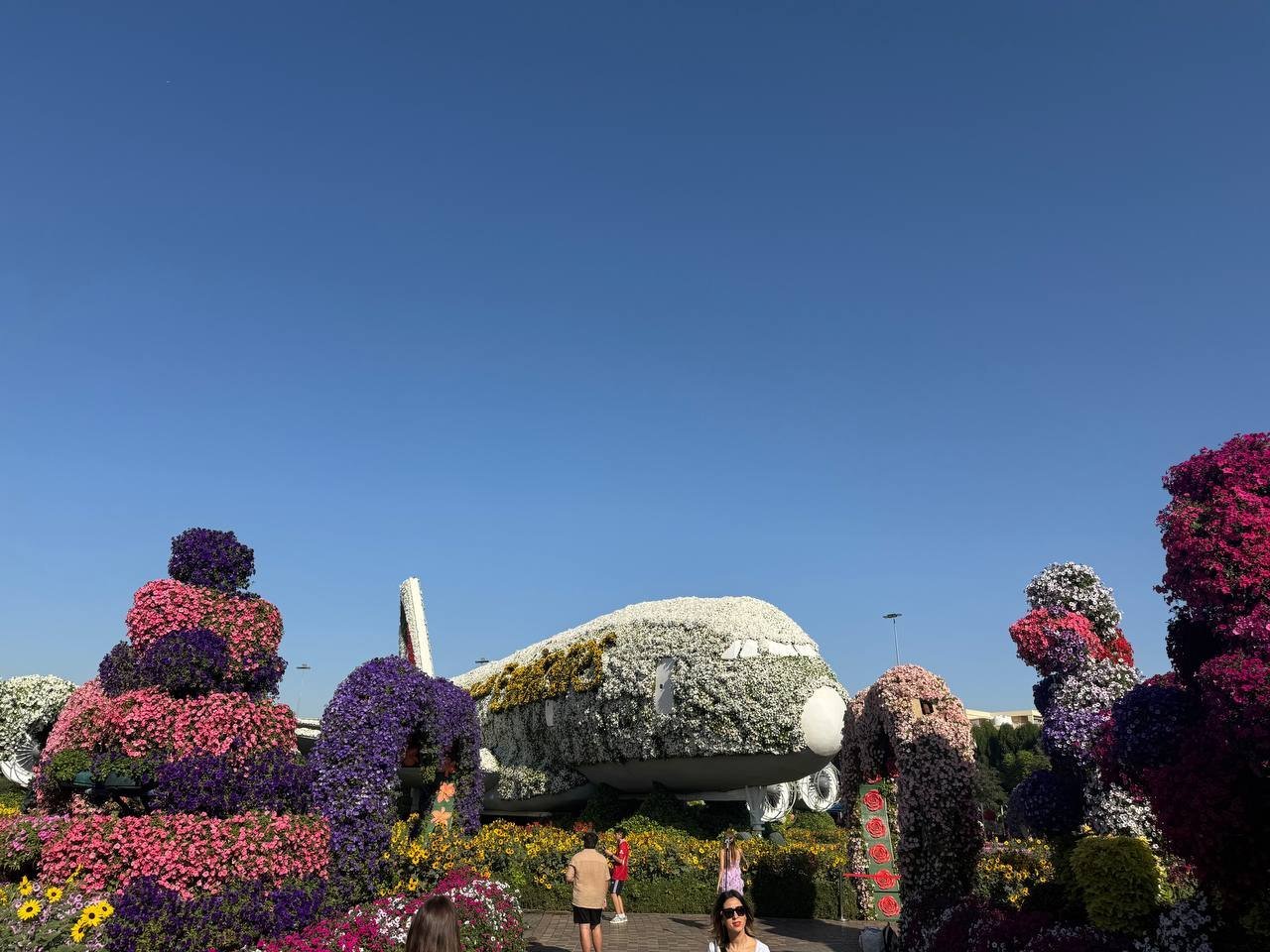 The life-sized Emirates A380 floral sculpture covered in millions of flowers at Dubai Miracle Garden