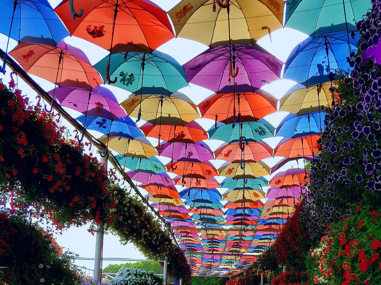 Colourful flower beds and floral displays inside Dubai Miracle Garden during Season 15