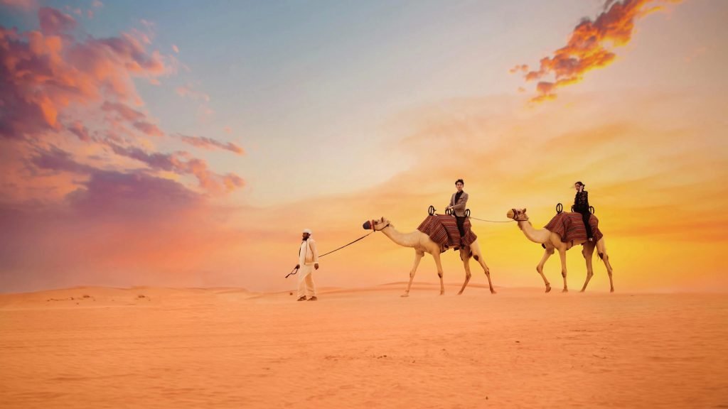 Camels in the Dubai desert at sunset, a classic December desert safari scene