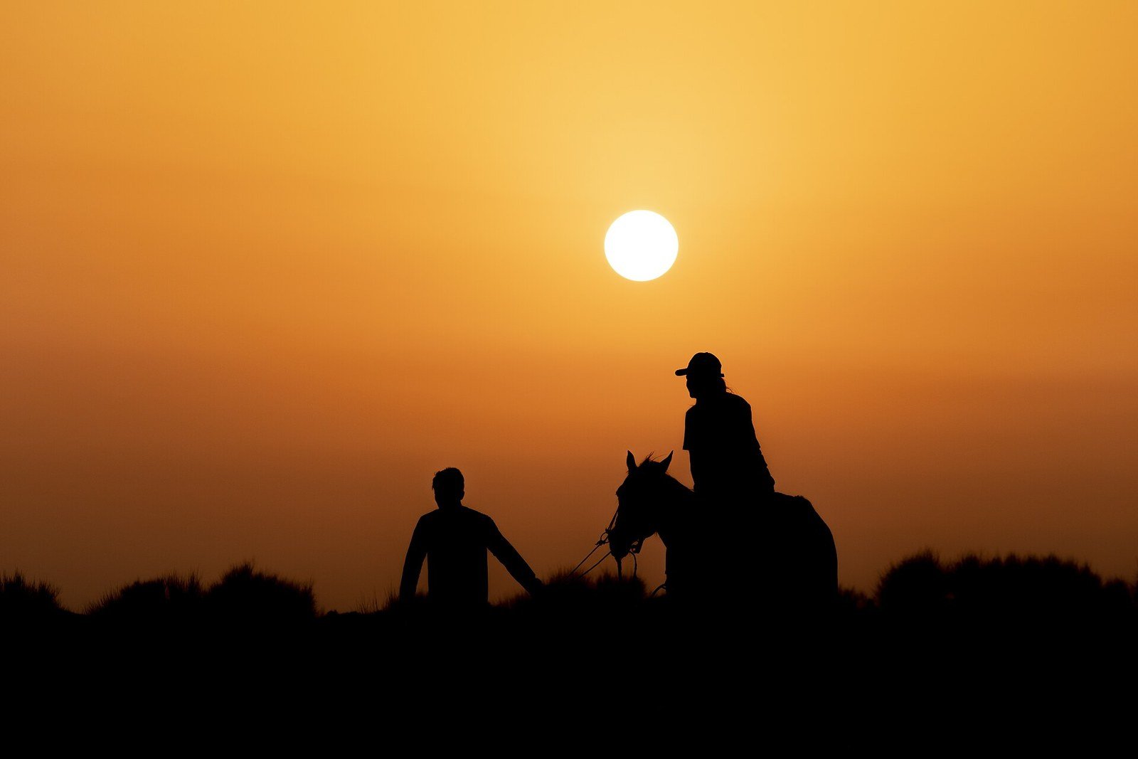 A horse rider on Dubai desert dunes at golden hour