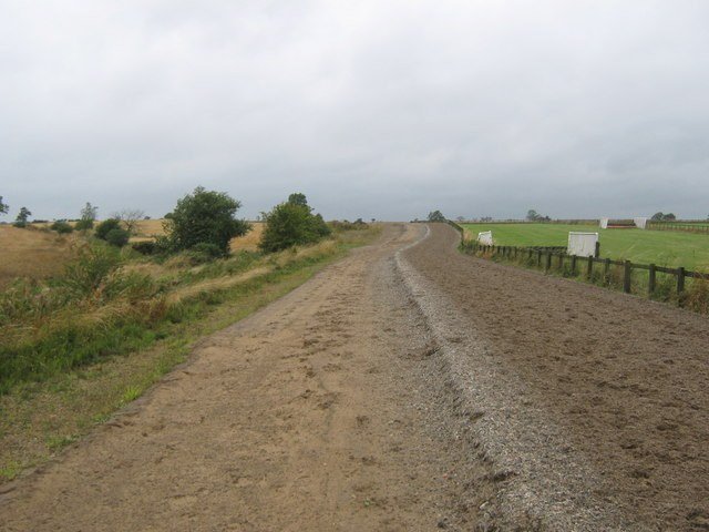 A racehorse at a training gallop, reflecting Sheikh Mohammed's Godolphin racing interests